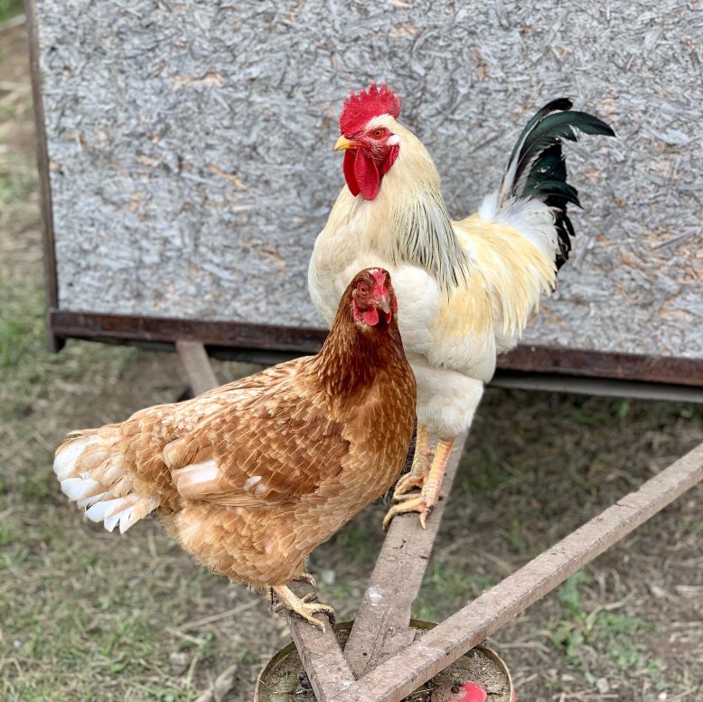 676AF066-91F9-48EE-892F-D4130DBBE6B9