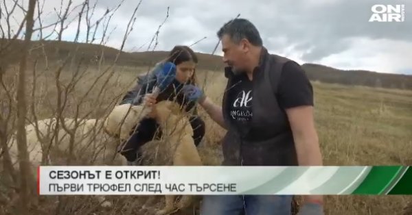 00867d27f0c50c92e793dd097e724264-snimka